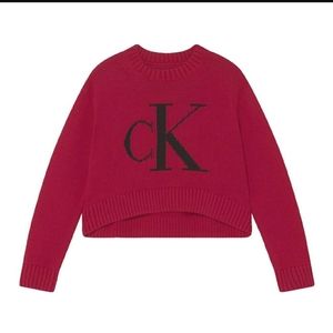 Calvin Klein pink pullover women winter